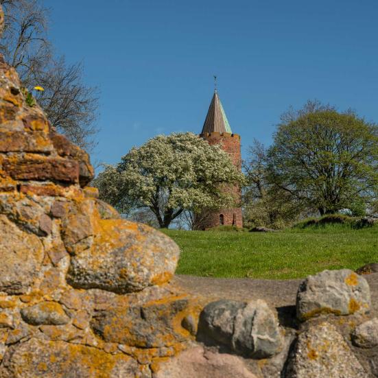 Foto af slotsruinen og gåsetårnet
